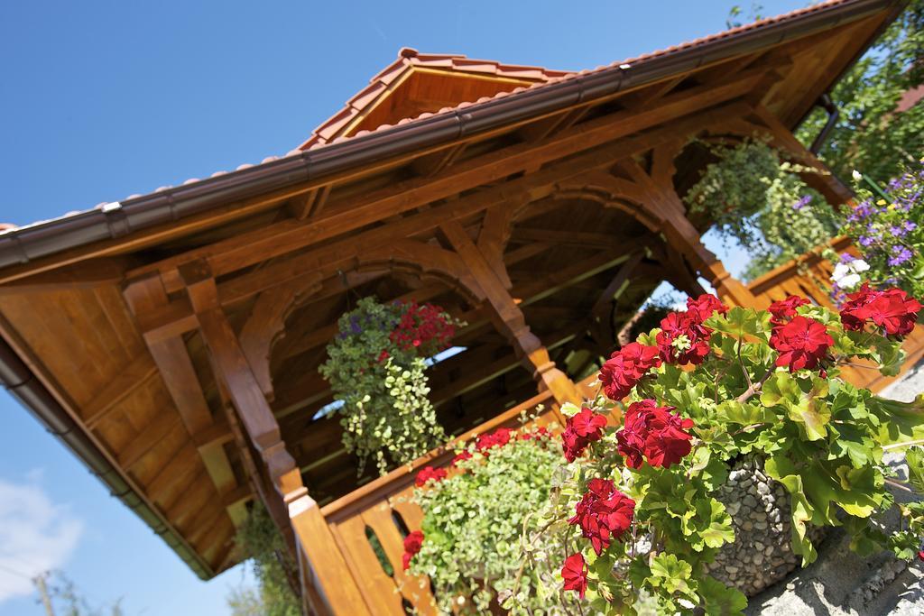 Hotel Alex Sankt Kanzian am Klopeiner See Ngoại thất bức ảnh